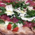 Mozzarella, Bresaola, Rucola,Grana, Pomodoro fresco